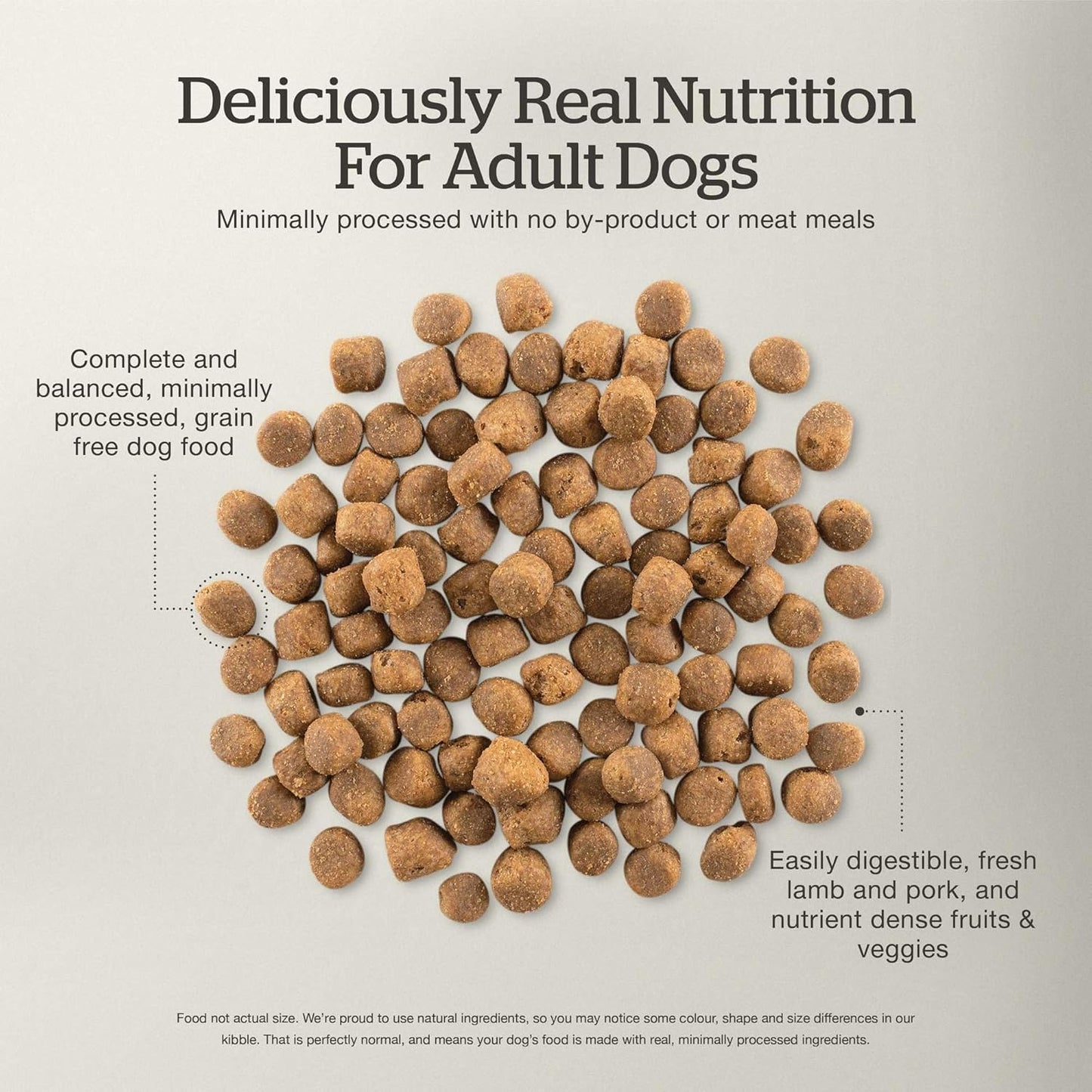 Now Fresh Grain-Free Premium Dry Dog Food with Lamb & Pork, Healthy Kibble for Adults Made with Real Red Meat, Chicken-Free Recipe, Enhanced with Pumpkin & Probiotics for Good Digestion, 3.5 lb Bag