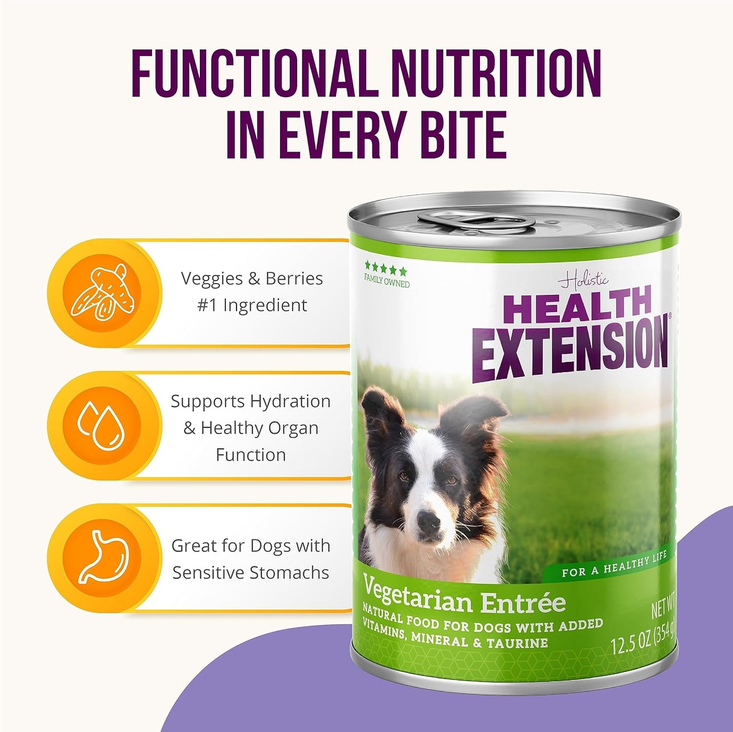 Health Extension Vegetarian Entrée Wet Dog Food, 12.5 oz - Protein-Rich Recipe, Hydration Support, Ideal for Sensitive Stomachs (Case of 12 Cans)