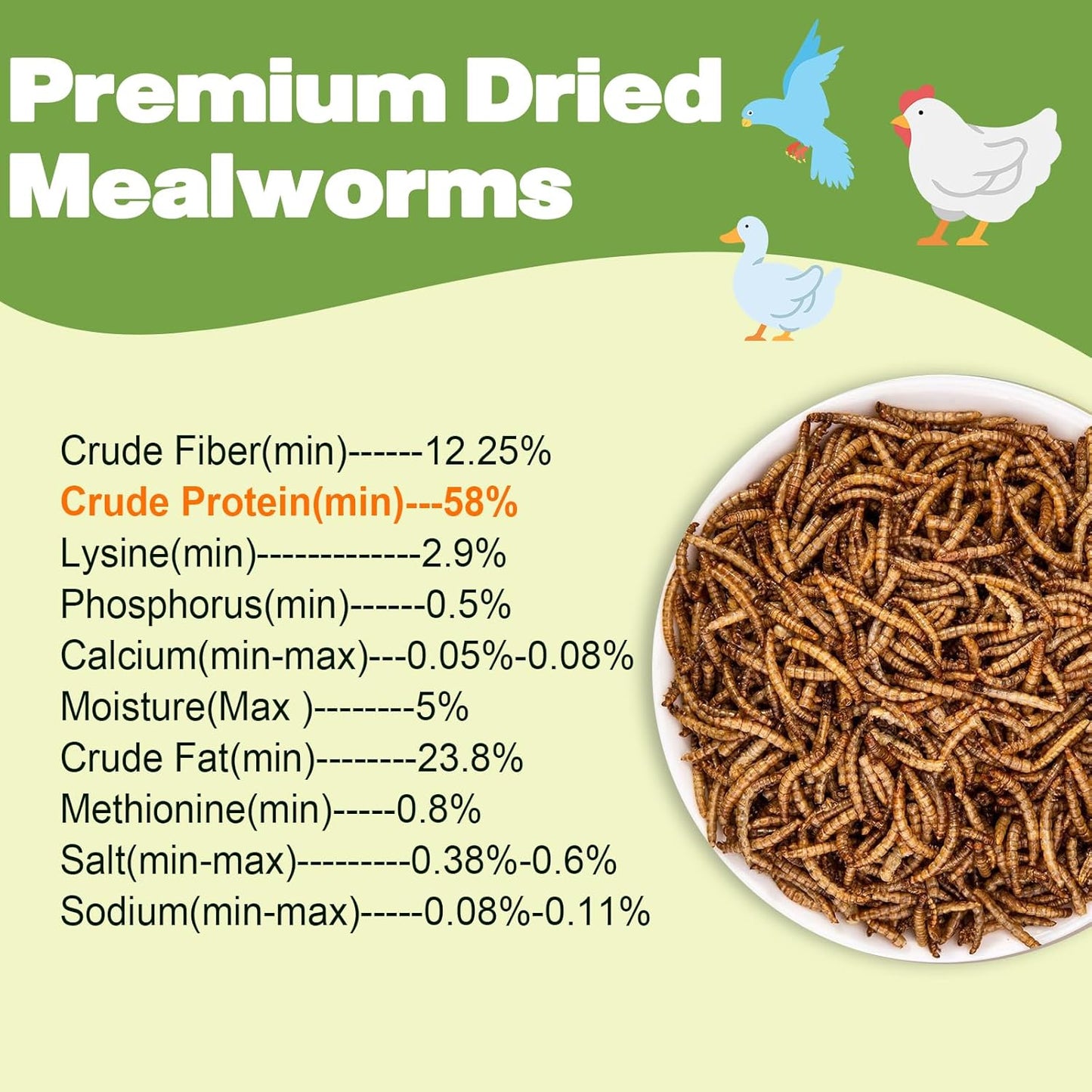 Dried Mealworms - 5 LBS - 100% Natural Non-GMO High Protein - Bulk Mealworms for Wild Birds, Chickens, Pet Treats & Reptile Food