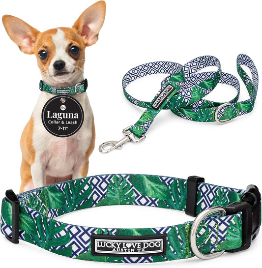 Lucky Love Dog Collar and Leash Set, Beautiful & Vivid Patterns, Easy On & Off Clasp Accessory (Blue Laguna, XS Combo)