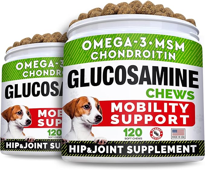 Glucosamine Treats for Dogs - Joint Supplement w/Omega-3 Fish Oil - Chondroitin, MSM - Advanced Mobility Chews - Joint Pain Relief - Hip & Joint Care - Peanut Butter Flavor - 240 Ct
