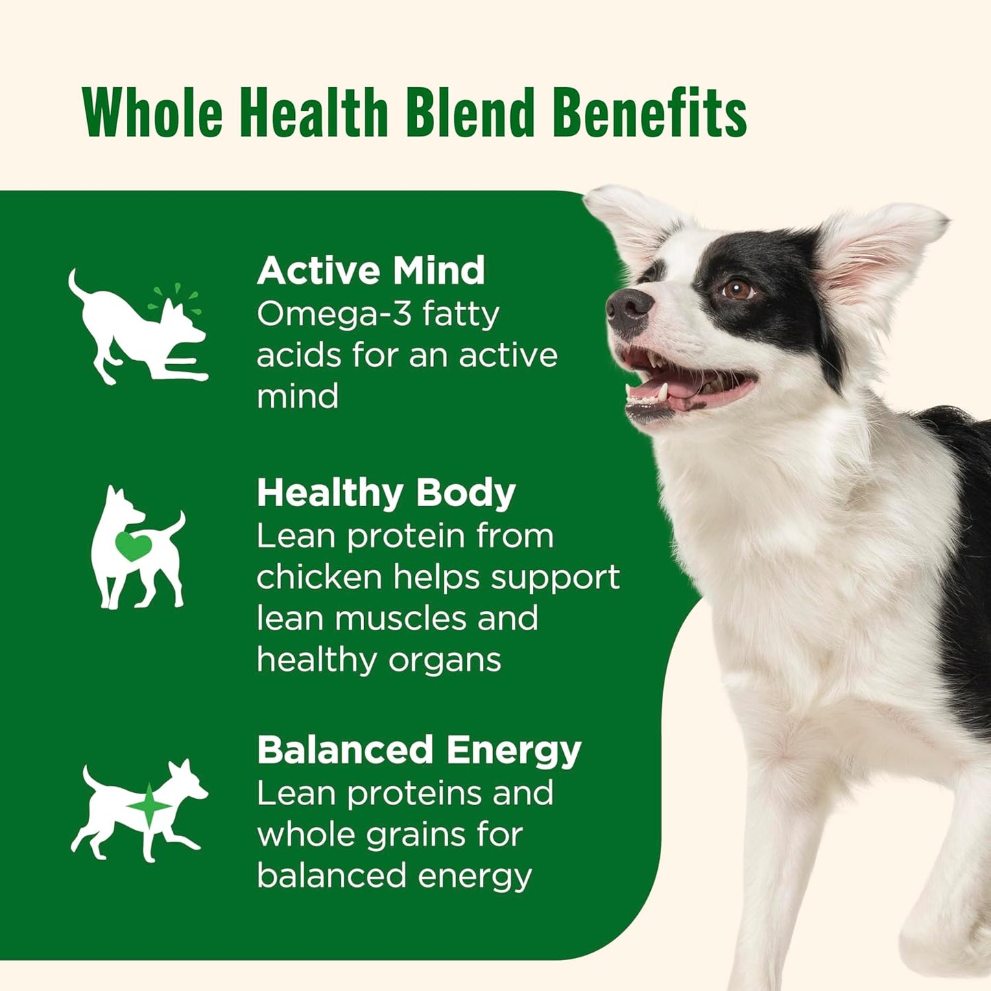 Nutrish Rachael Ray Wet Dog Food Chunks in Gravy Real Chicken & Veggies Recipe, 13 oz. Can, 12 Count