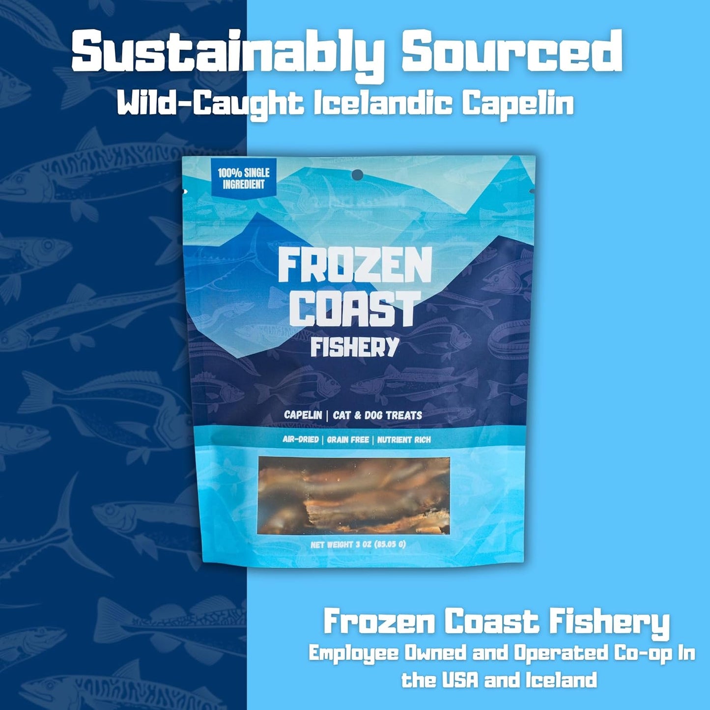 Frozen Coast Capelin Cat & Dog Treats- Single-Ingredient, All-Natural, High-Protein, Omega-3s, Fish Snacks (3 oz Bag)