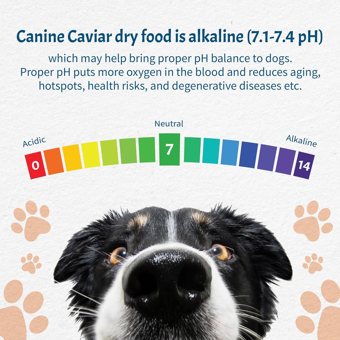 Canine Caviar - Special Needs: Chicken & Brown Rice Alkaline Dry Dog Food, Limited Ingredients, Gluten-Free, Based on Science & Research, Veterinary Alternative Diet (11 Pound Bag)