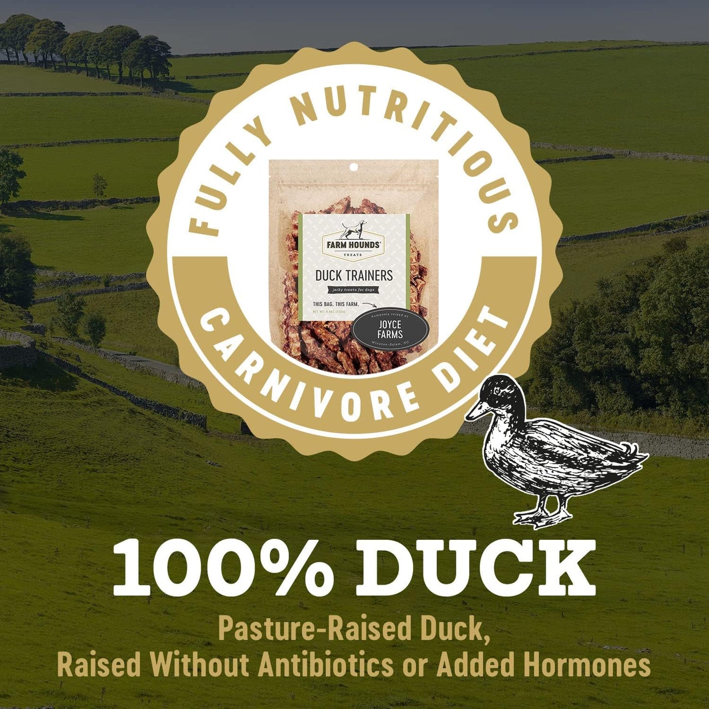 Farm Hounds - Duck Trainers - Premium Natural Jerky for Dogs - Made from 100% Humanely Raised Duck - Easy-Break - Great for Training & Treats - No Added Fillers - Made in USA - 4.5 oz - 2 Pack