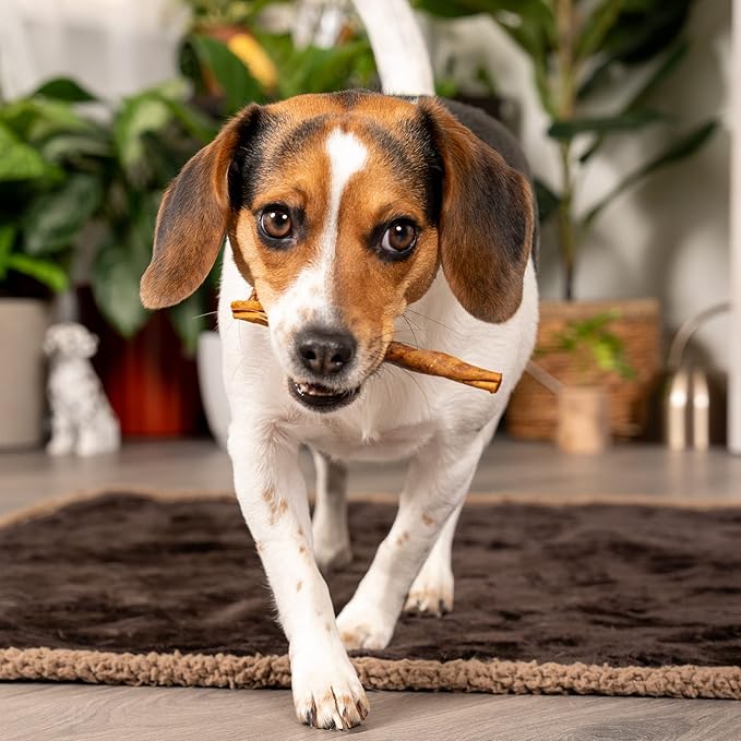 Pet Factory American Beefhide 5" Twist Sticks Dog Chew Treats - Peanut Butter Flavor, 1 lb