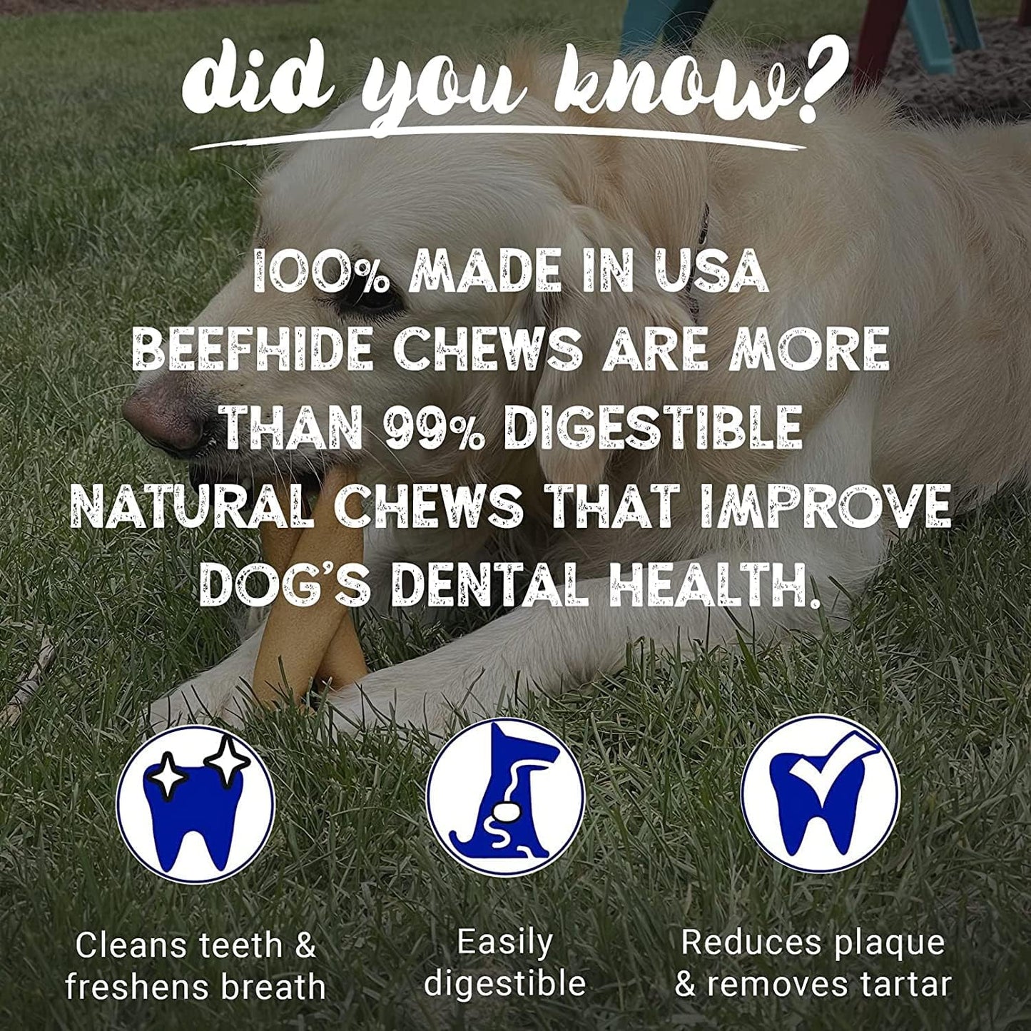 Pet Factory 100% Made in USA Beefhide 4" Knotted Bones Dog Chew Treats - Peanut Butter Flavor, 24 Count/1 Pack