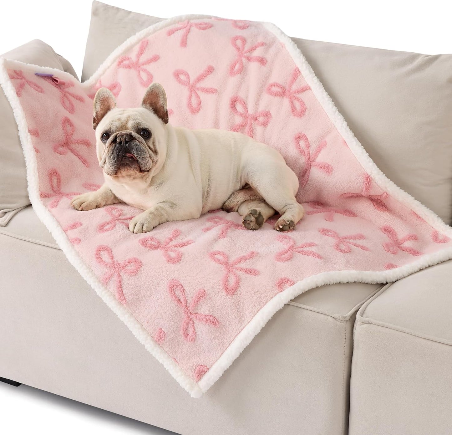 Lesure Waterproof Puppy Blanket for Medium Dogs - Washable Double Sided Dog Blankets with Warm Jacquard Shag and Soft Sherpa Fleece, Pet Cat Blanket for Couch Protection, Bow Design，Pink Taffy