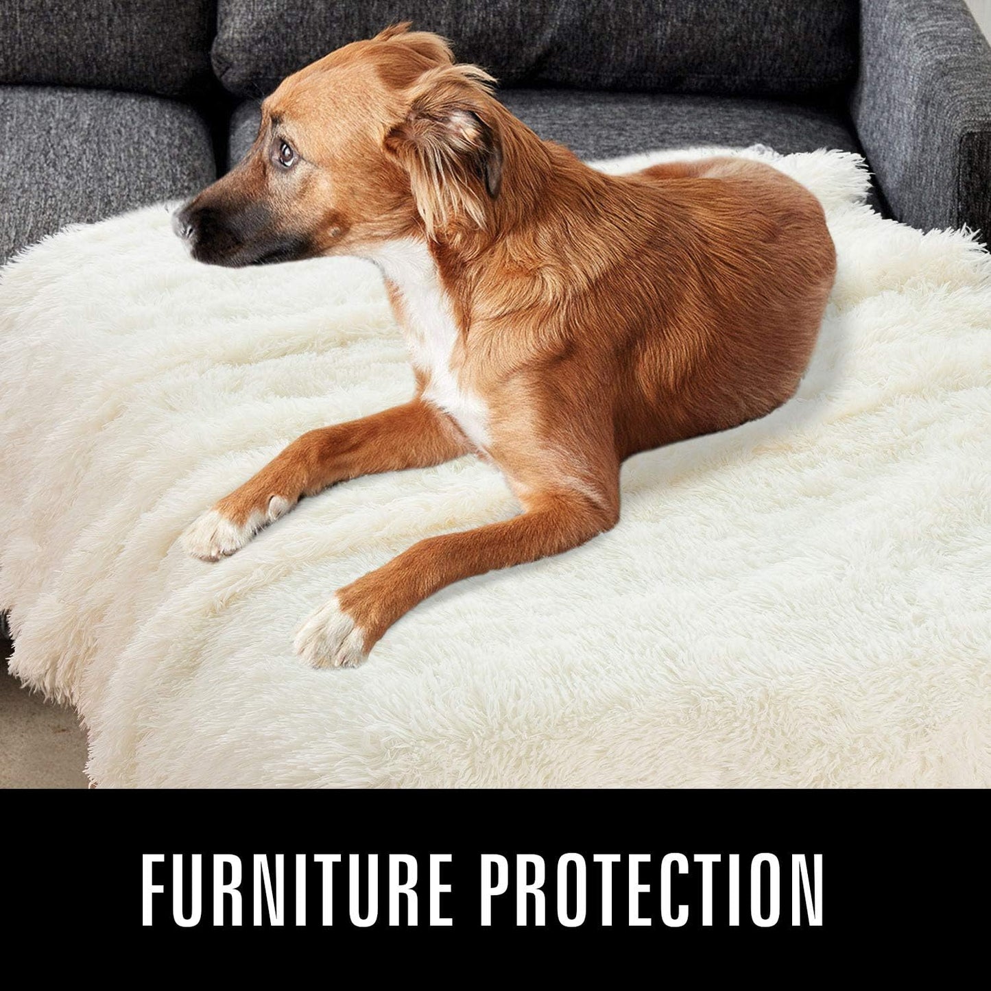 LOCHAS Luxury Fluffy Dog Blanket, Extra Soft and Warm Sherpa Fleece Pet Blankets for Dogs Cats, Plush Furry Faux Fur Puppy Throw Cover, 30''x40'' Cream White