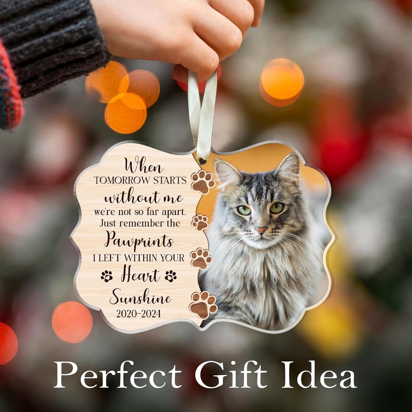 Custom Cat Memorial Acrylic Ornament - Rememberance Ornament for Loss of A Pet - Personalized Gifts - Pet Bereavement Gift - Pet Sympathy Gift (Cat Memorial Acrylic)