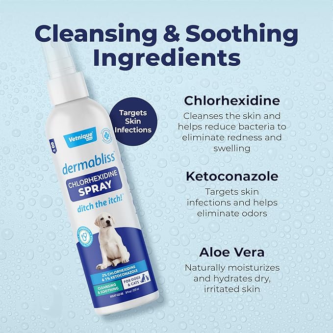 Vetnique Dermabliss Hot Spot Treatment for Dogs - Antiseptic Medicated Chlorhexidine Spray - Vet Recommended for Skin Infections, Hot Spots & Irritation (Hot Spot Spray, 8oz)