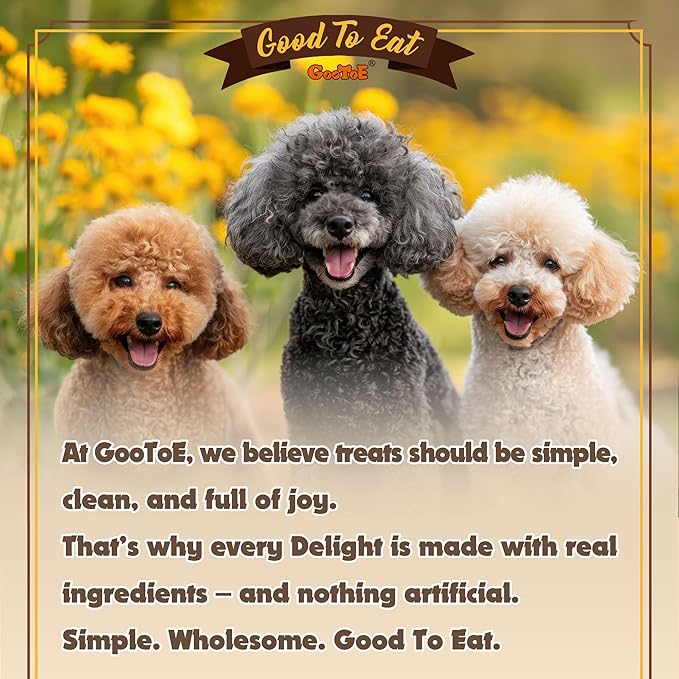 Gootoe Turkey Tendon Dog Treats, Ring (S) 6 Pieces per Pack, USA-Sourced Turkey Tendon, Natural Snack, Premium Puppy Chews, Hypoallergenic, Reseal Value Bags, Size for Small Dogs (Pack of 2)