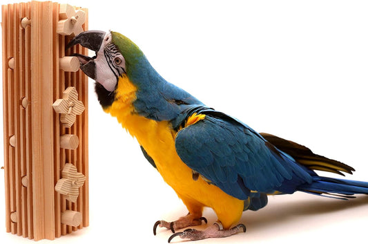 Activity Block - Large Parrot Toy