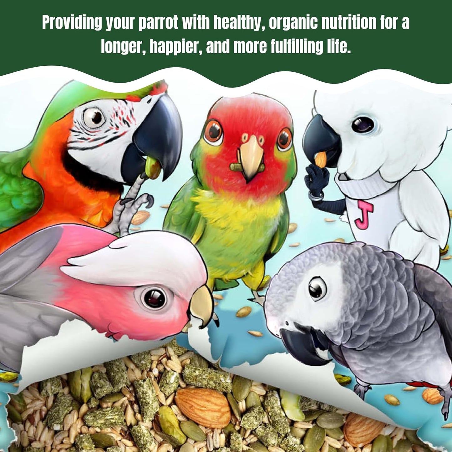 TOP's Parrot Food Marlene Mc'Cohen's USDA Certified Organic Signature Blend Bird Seed and Pellet Mix for Large Birds 2.