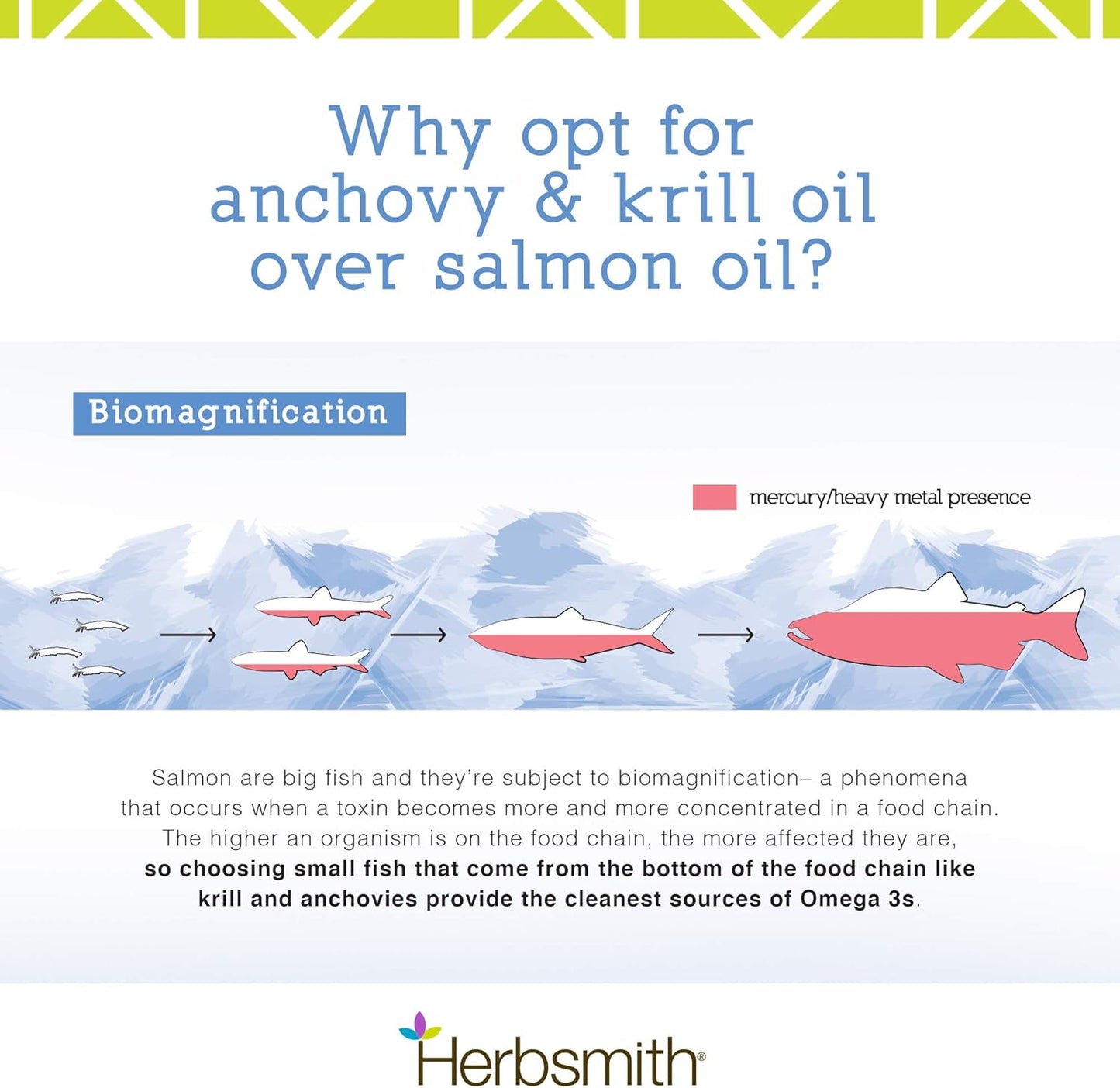 Herbsmith Glimmer - Dog Healthy Skin and Coat + Dog Treatment for Dry Itchy Skin - Omega-3 Supplement for Dogs - 60ct Small Chews