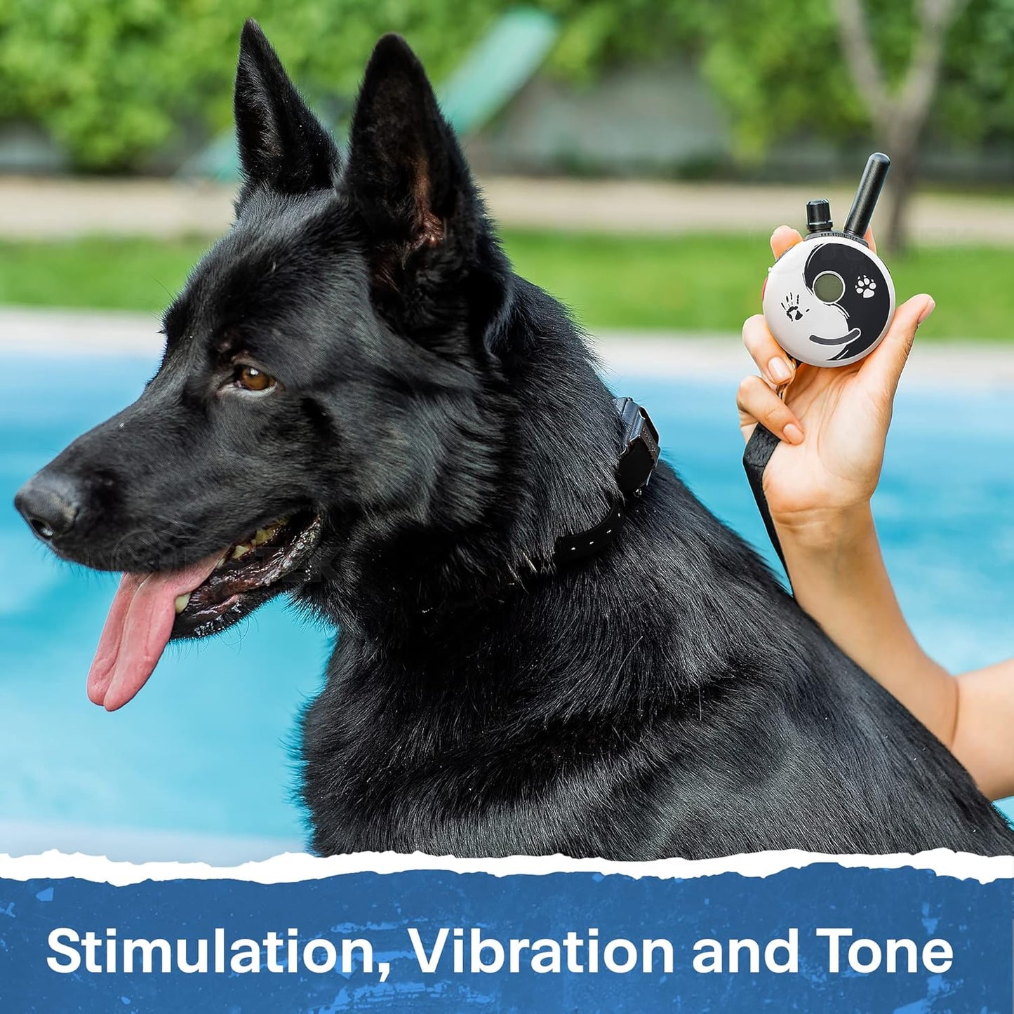 Mini Educator ET-302 Zen - 1/2 Mile E-Collar Dog Training Collar with Remote - Static, Vibration & Tone Electric Training for Small, Medium & Large Dogs by E-Collar Technologies