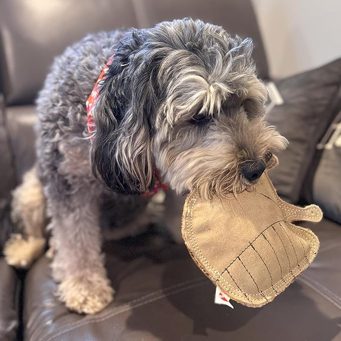 SPOT Dura-Fused Leather Raccoon Dog Toy – Real Leather & Jute Fabric, Double-Stitched & Durable, Squeaky Interactive Chew Toy for Moderate Chewers, Small & Medium Dogs, Soft Stuffed Fetch Toy, 7.25in