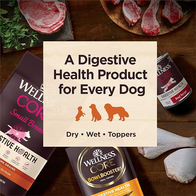 Wellness CORE Digestive Health Dry Dog Food, Wholesome Grains, Natural, Recipe for Dogs with Sensitive Stomachs, Whitefish & Brown Rice, (22-Pound Bag)