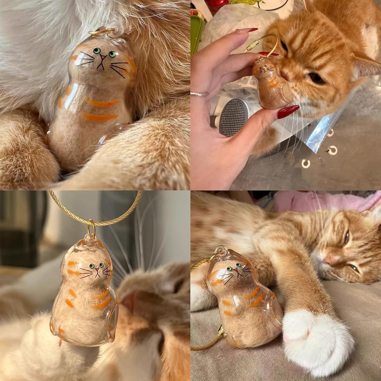 6 Pcs Cat Fur Charm Keepsake Keychain Pet Hair Memorial Capsule Portable Acrylic Memory Pendant for Cat Lovers