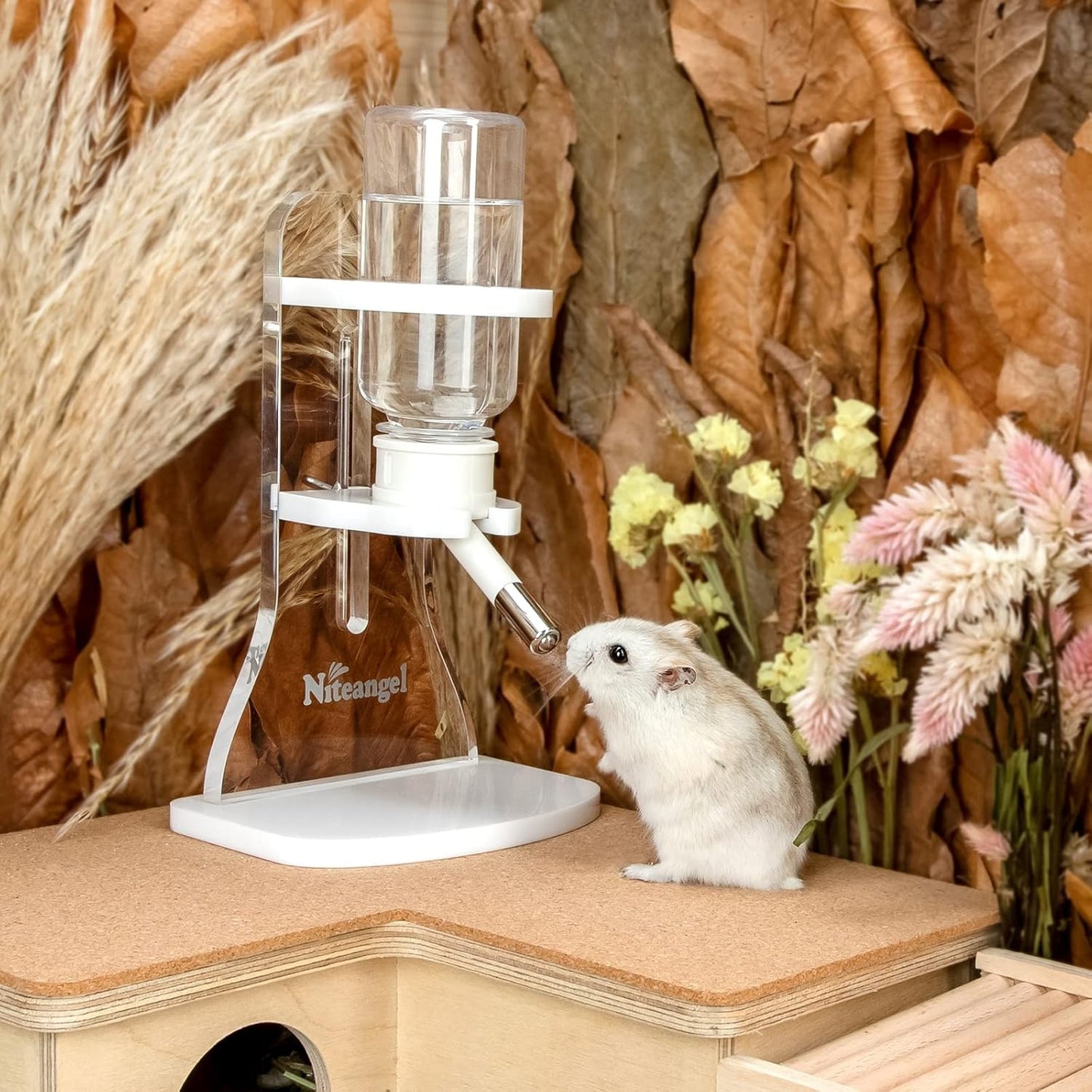 Niteangel Water Bottle with Stand for Syrian Dwarf Hamsters Gerbils Mice Rats Degus Small pet (Transparent)