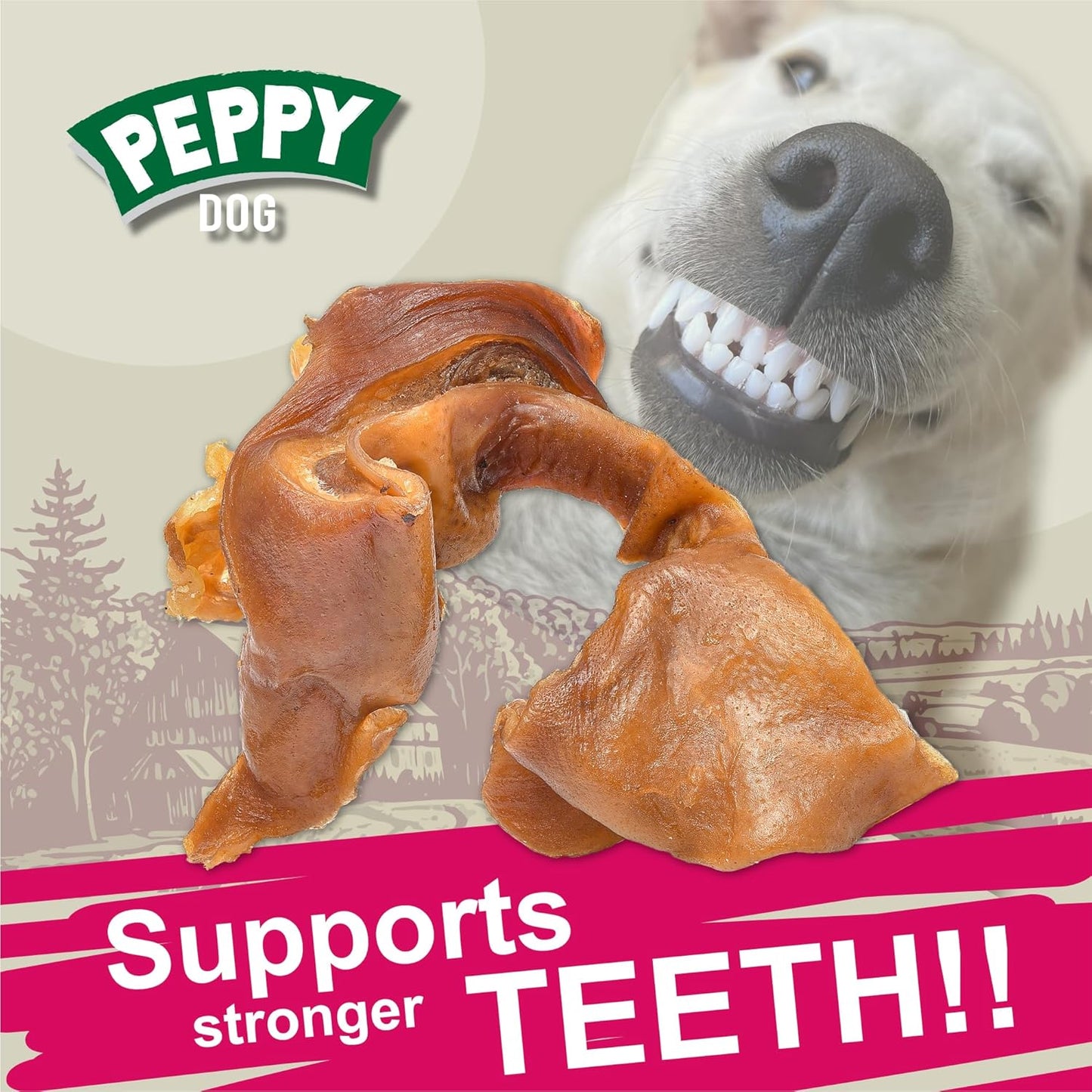 All Natural Pork Ear Strips (4.4 lb) | Simple Ingredient Dog Chews | Digestible Pig Ears | High in Protein | Supports Health and Dental