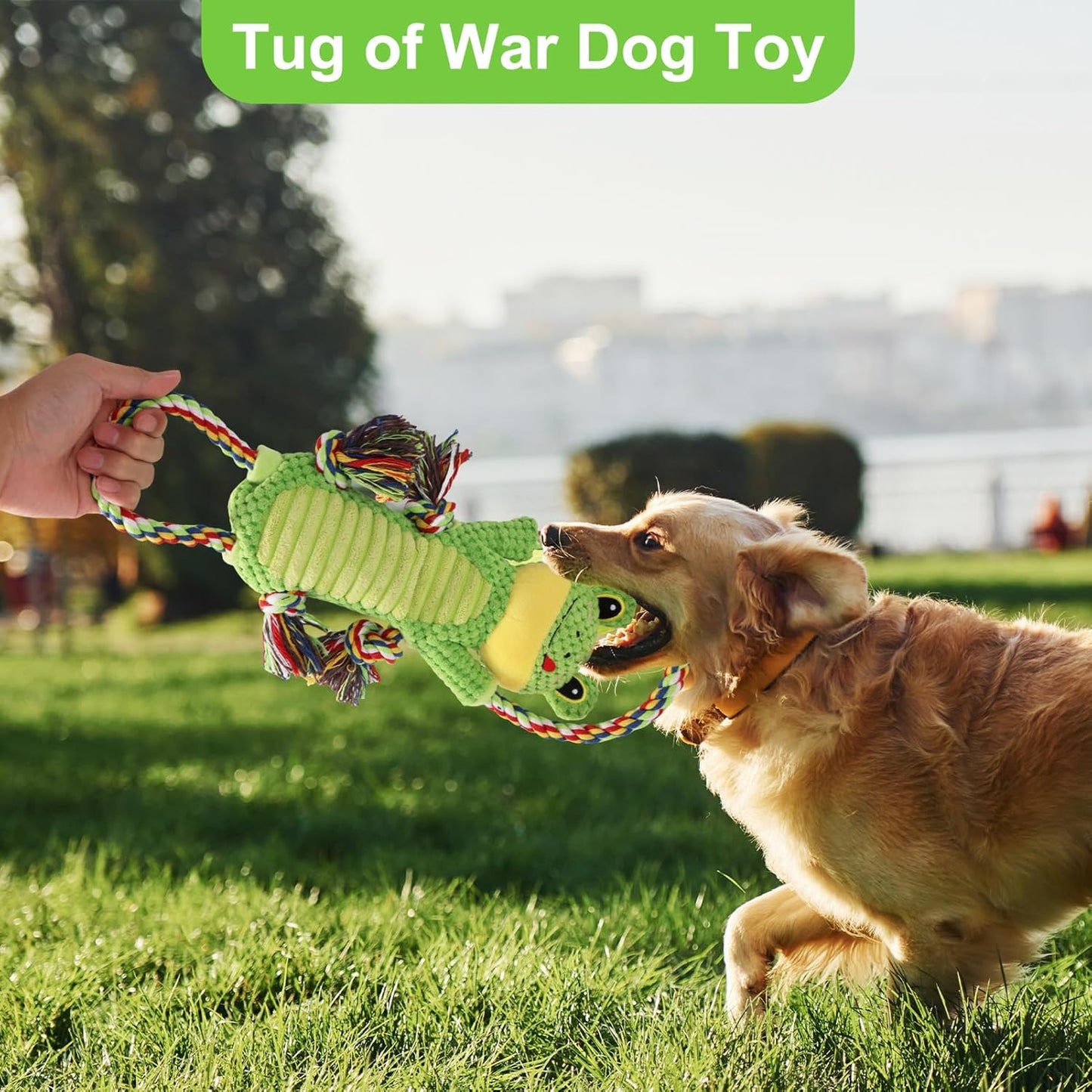 Interactive Chew Proof Dog Toys for Boredom & Anxiety - Plush with Squeaker & Crinkle Sound & Ropes for Small, Medium, Large Dogs