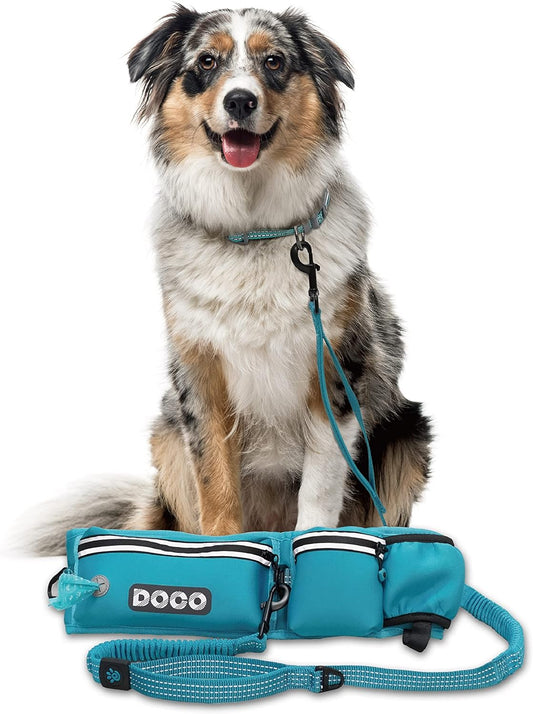 DOCO Hands Free Dog Leash (Waist 26”- 48”, Leash- 1”x 5ft) Waist Belt for Walking, Running & Hiking, Bungee with Dual Handles, Adjustable Fit, Reflective Safety Design for Large Dogs (Turquoise)