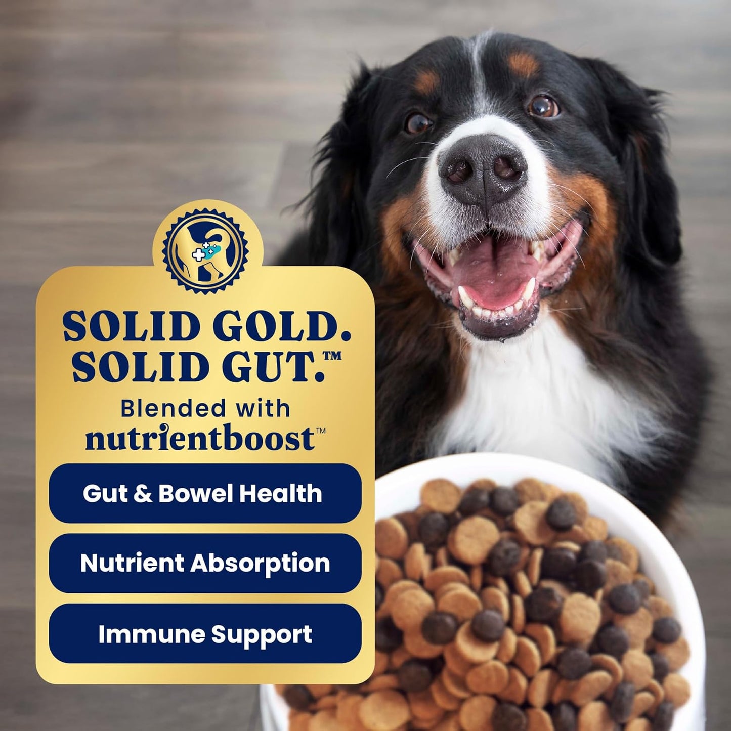 Solid Gold Dry Dog Food for Sensitive Stomachs - Grain Free & Gluten Free w/Venison, Pumpkin & Probiotics for Gut Health & Digestion - Sensitive Stomach Dog Food for All Ages - Nutrientboost – 22LB