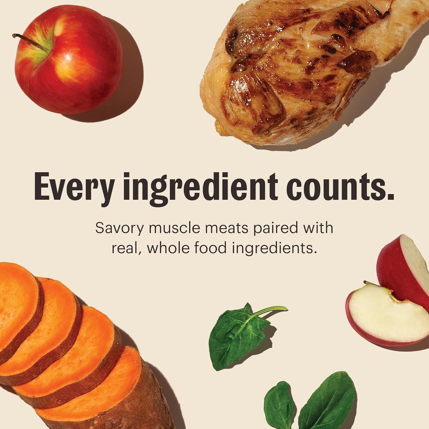 The Honest Kitchen Human Grade One Pot Stews Wet Dog Food - Slow Cooked Chicken Stew with Sweet Potato, Spinach & Apples, 10.5 Ounce Box (Pack of 6)