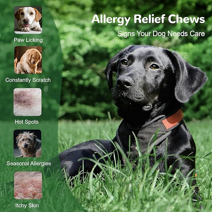 Dog Allergy Chews, Dog Itch Relief Chews for Paw Licking Itchy Skin Seasonal Allergies, Probiotics with Omega-3 Turmeric Astragalus for Large Dogs Coat Immune Supplement-90ct