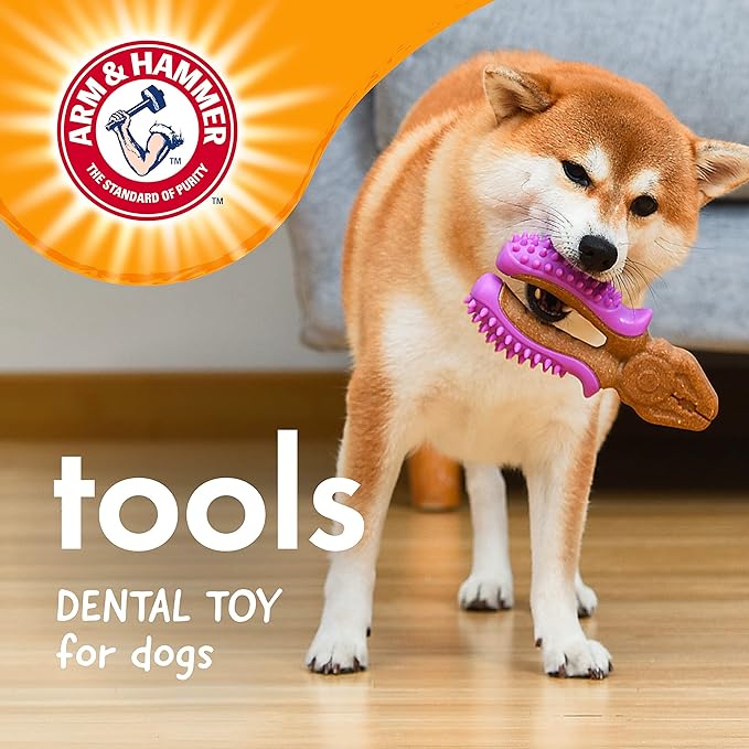 Arm & Hammer for Pets Chew Tools Collection: Wood Blend Pliers Chew Toy for Dogs | Compressed Wood Dog Chew Toys with Baking Soda, Safer & Durable Alternative to Chewing Sticks