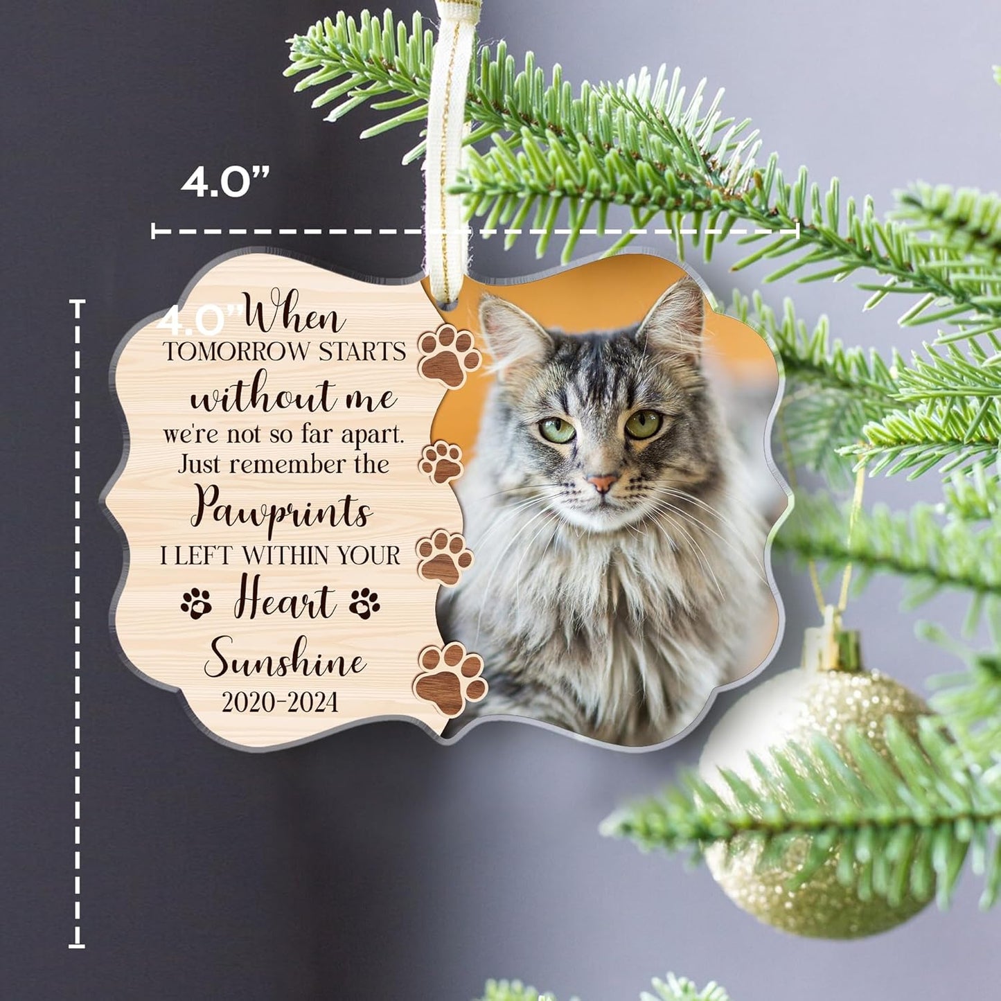 Custom Cat Memorial Acrylic Ornament - Rememberance Ornament for Loss of A Pet - Personalized Gifts - Pet Bereavement Gift - Pet Sympathy Gift (Cat Memorial Acrylic)