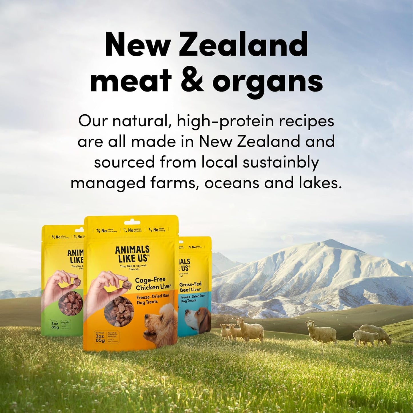 Premium Dog Treats, Freeze-Dried Raw 100% Grass-Fed Lamb Tripe, Single Ingredient, Protein Rich, Non-GMO, No Wheat or Corn, 2 oz