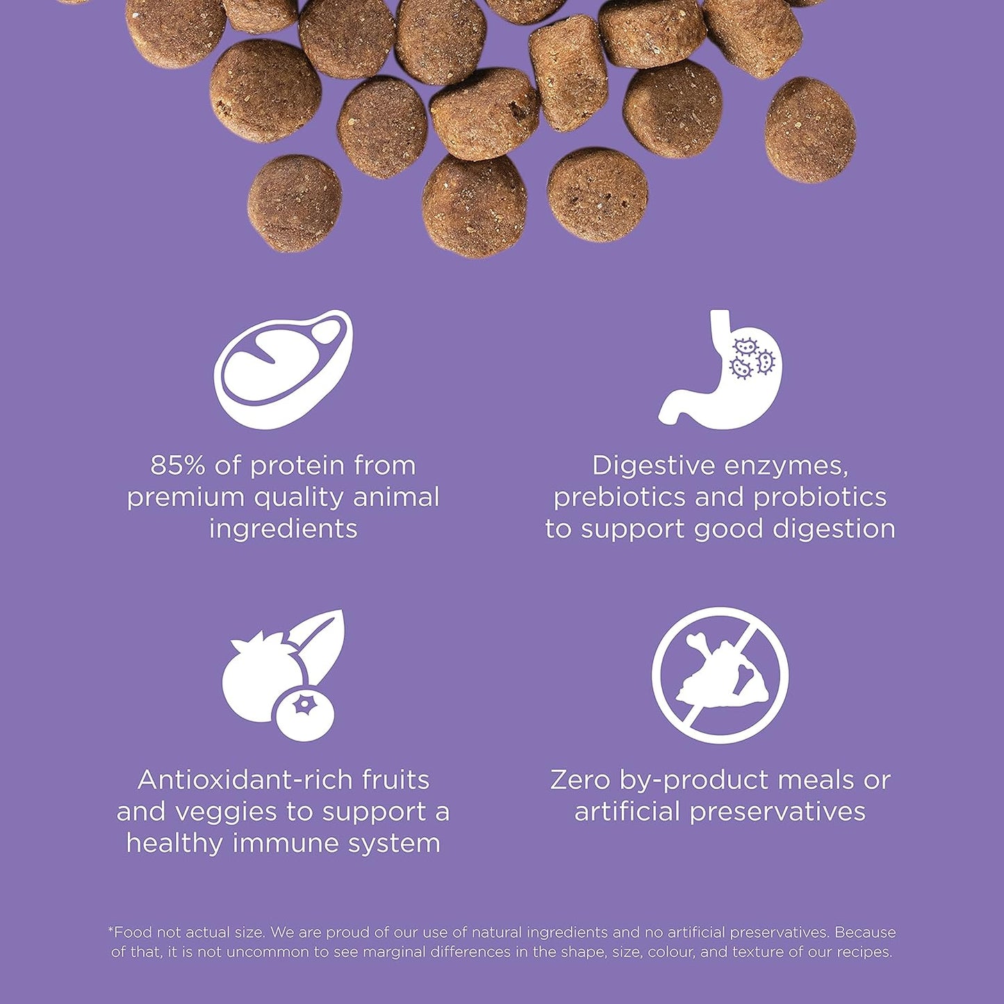 Go! Solutions Carnivore, Grain-Free, Protein Rich Dry Dog Food, Chicken, Turkey and Duck Senior Recipe, 12 lb Bag