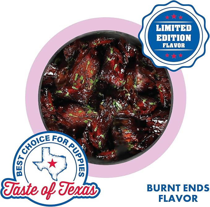 N-Bone Puppy Teething Rings Taste of Texas Burnt Ends Flavor 3 Count