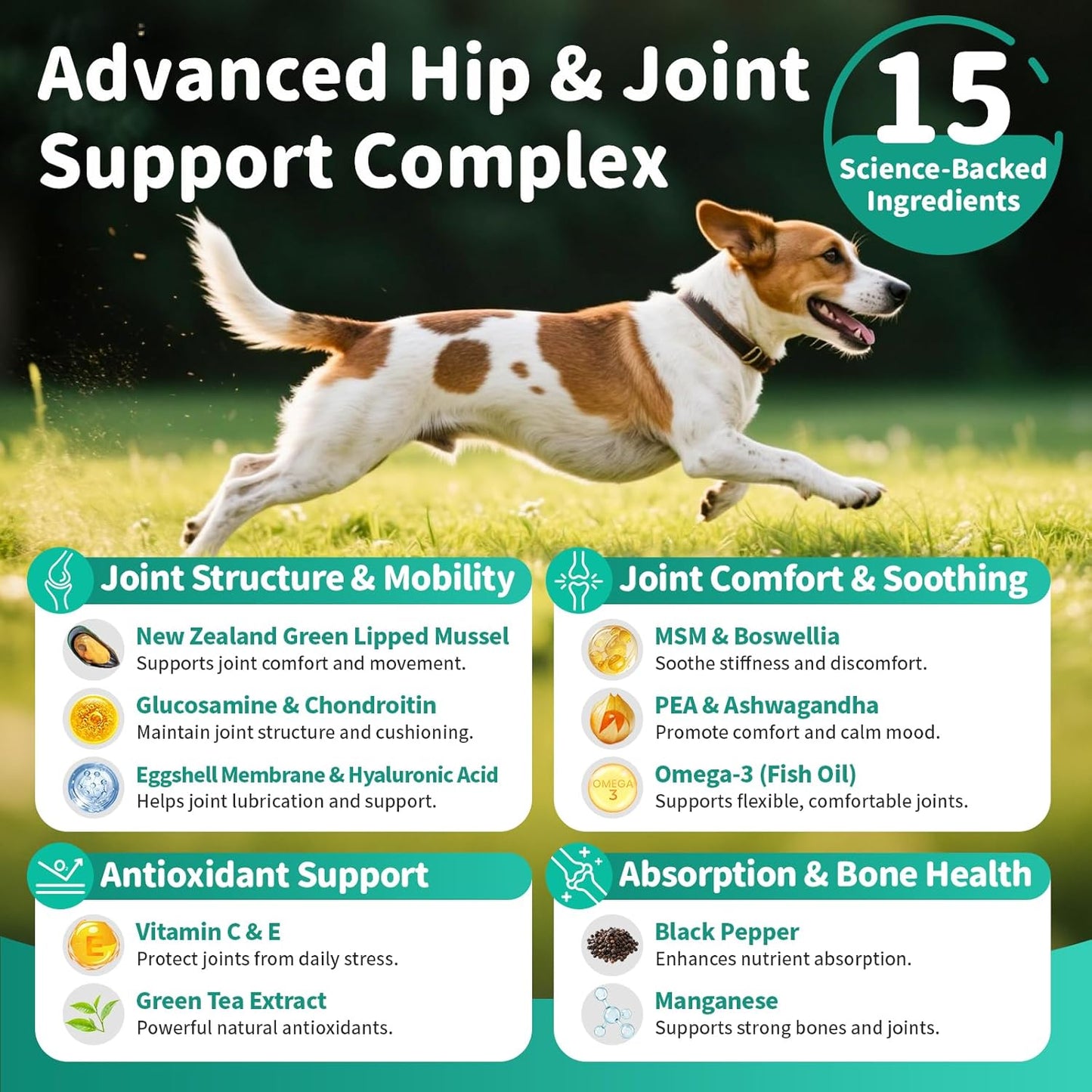 Dog Hip and Joint Supplement, 15-in-1 Advanced Glucosamine for Dogs with Chondroitin, MSM, New Zealand GLM, Pea, Omega 3 - Chicken Flavor - 90 Soft Chews, Fits All Breeds and Sizes