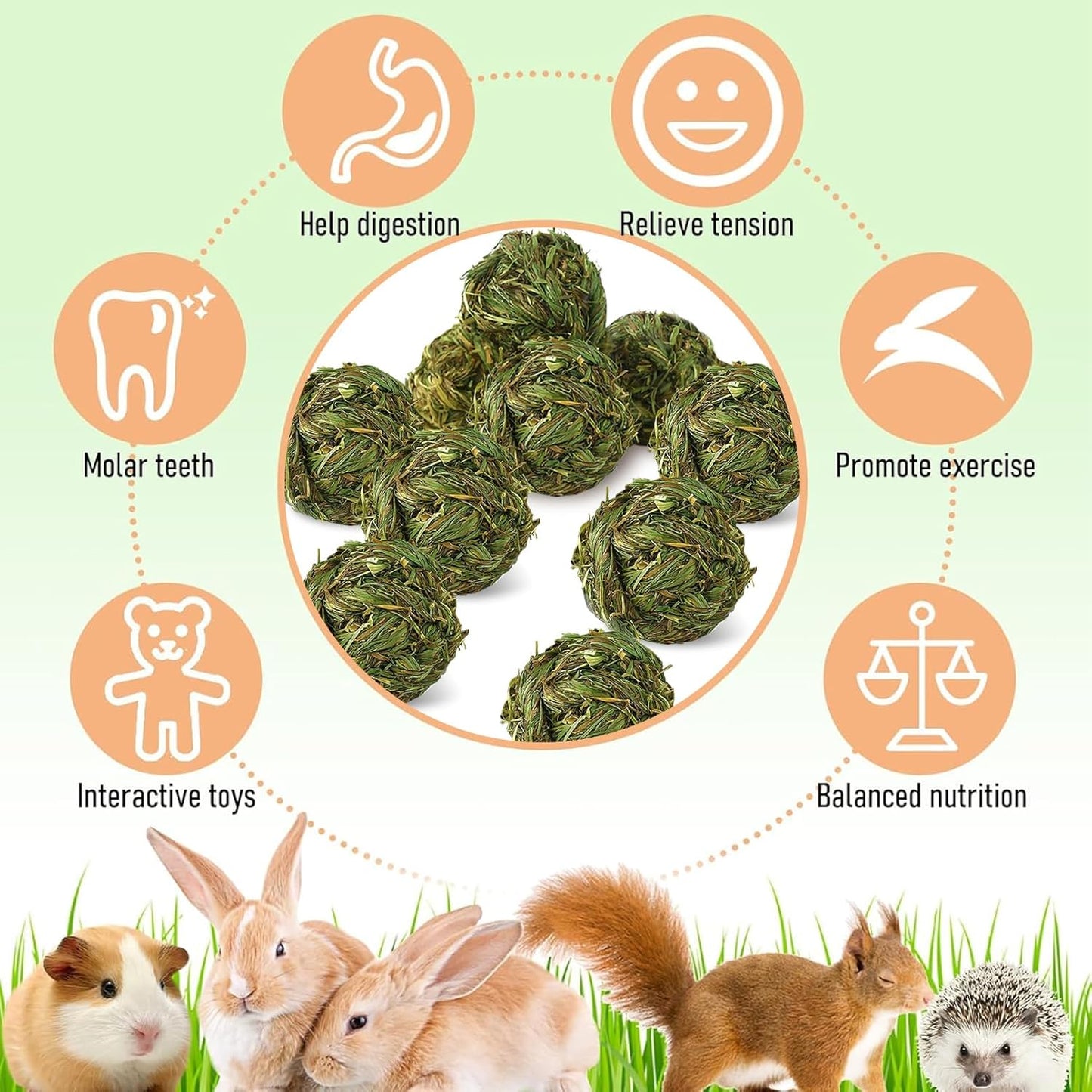 Hamiledyi 10 Pcs Rabbit Chew Ball Timothy Grass Ball Small Animal Activity Play Chew Toys Teeth Grinding for Bunny Rabbits Hamster Guinea Pigs Gerbils Chinchillas