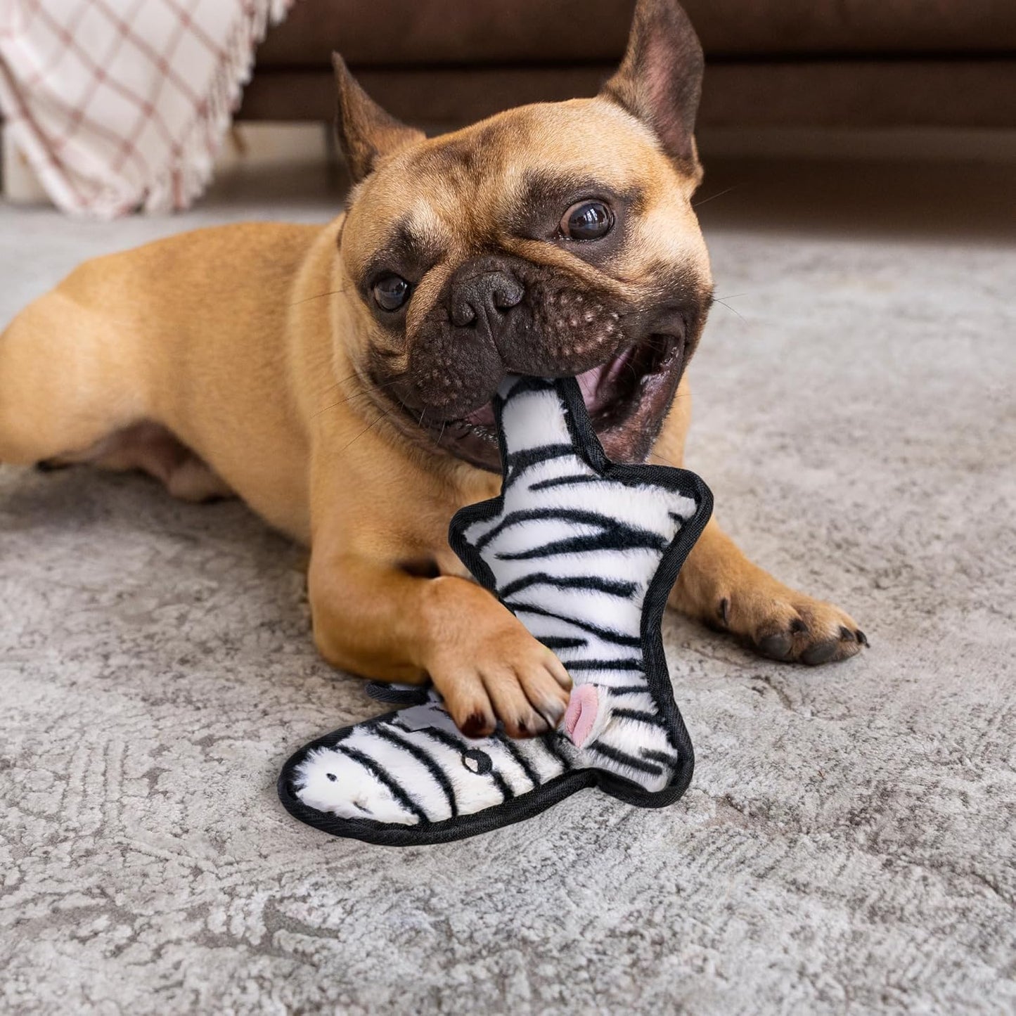 SHARLOVY No Stuffing Dog Toys Crinkle Squeaky, Long Lasting Chews for Aggressive, Durable Plush Dog Puppy Chew Toys for Teething, with 6 Tough Layers for Small Medium Large Breed