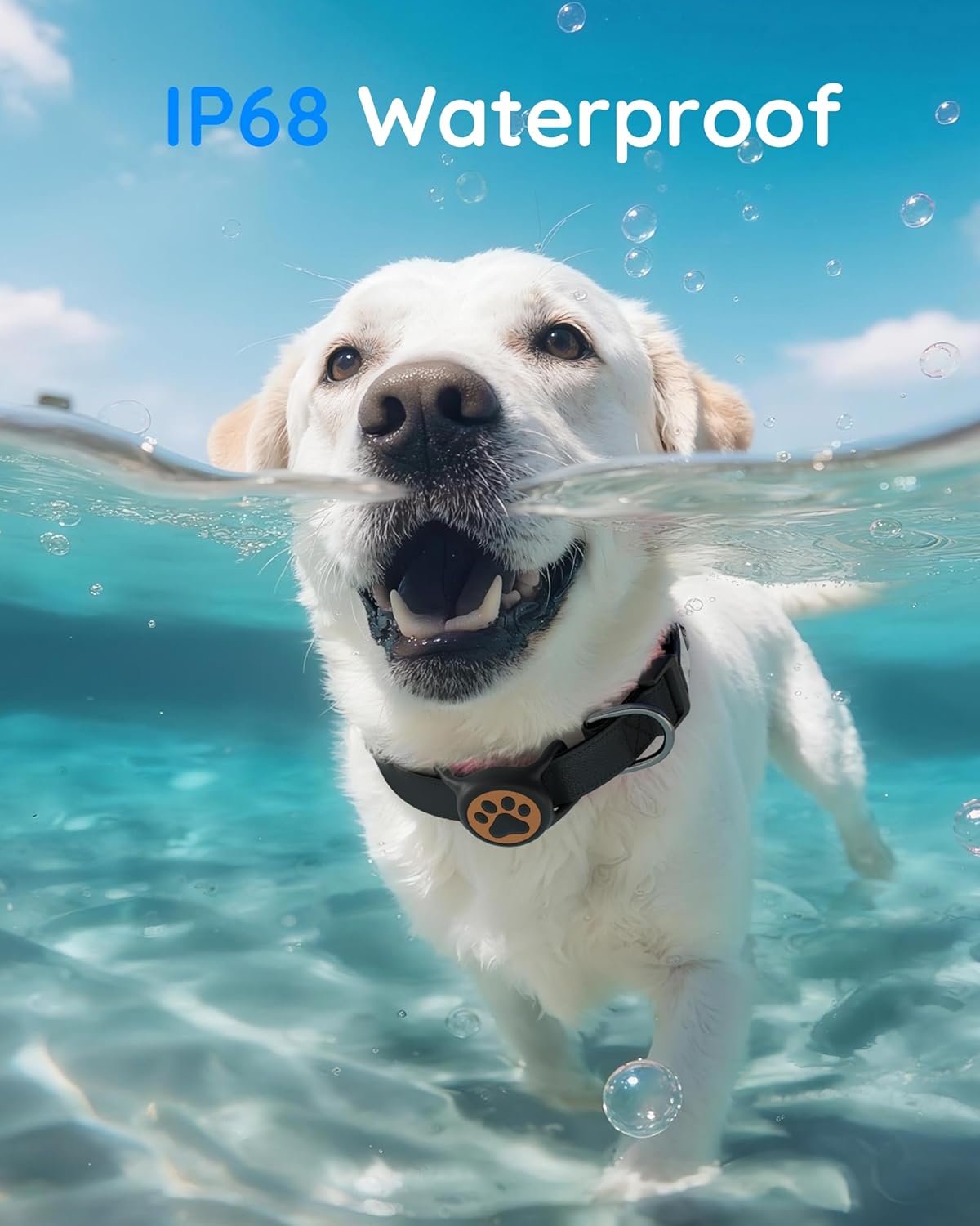 IP68 Waterpoof Dog Air tag Holder, Stretchy Silicone Full Body Covered Apple Air Tag Holder for Dog Cat Collar Fit All Width Collar (Black & Orange, 1 Pack)