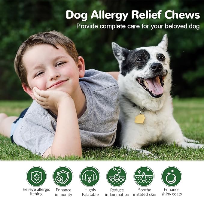 Dog Allergy Relief Chews, Dog Itch Relief Chews for Large Dogs Paw Licking Itchy Skin, Probiotics with Turmeric Astragalus Omega-3 for Seasonal Allergies Coat Immune Supplement-300ct