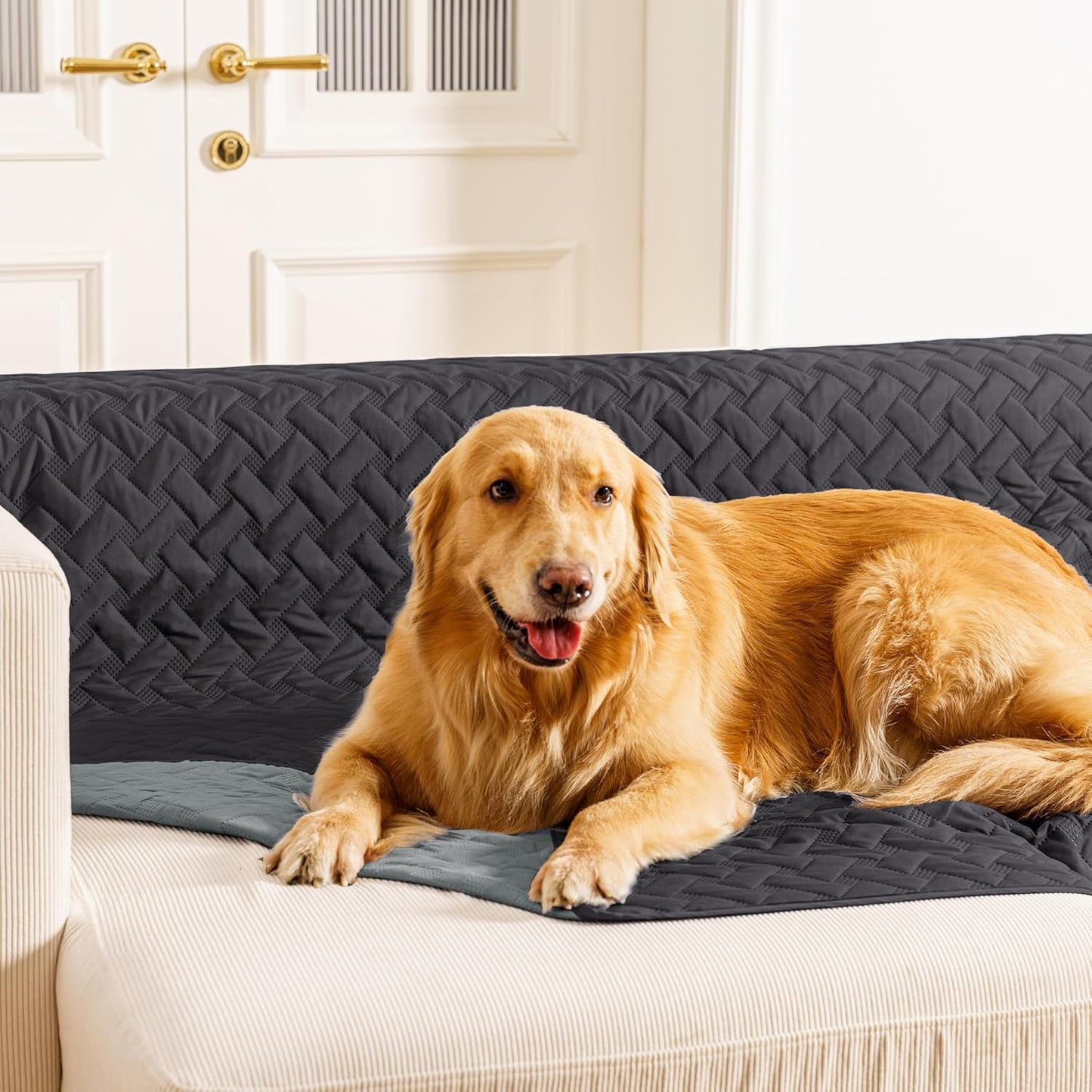 gogobunny 100% Double Sided Waterproof Dog Blanket Soft Pet Bed Cover Reversible Protect Furniture Couch Sofa Car for Puppy Cat (Dark Charcoal/Light Charcoal, 30x30 Inch (Pack of 1))