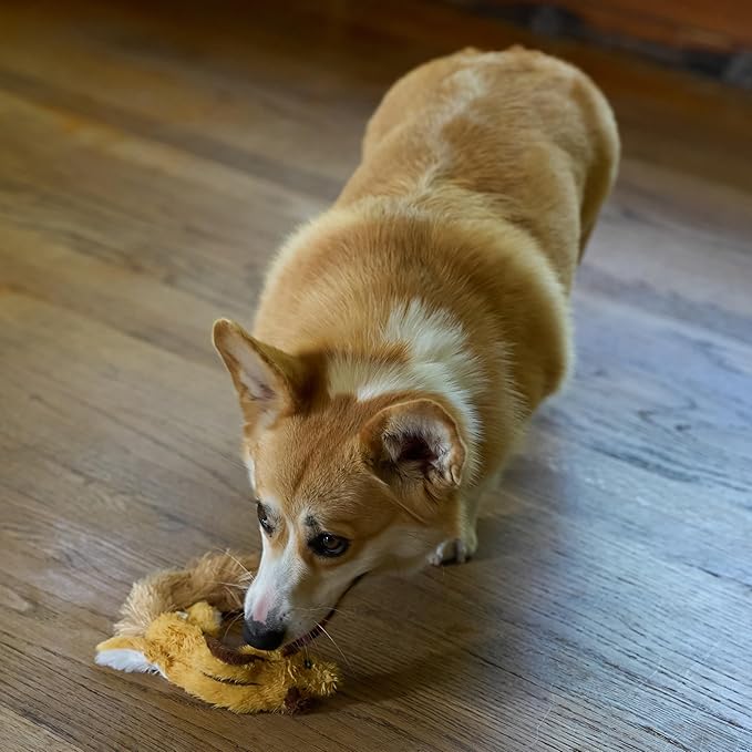 SPOT Skinneeez Flying Squirrel 14 Inch Stuffing-Free Plush Squeaky Dog Toy – Soft Tug-of-War Toy for Small and Medium Dogs – Mess-Free Interactive Chew Toy for Moderate Chewers