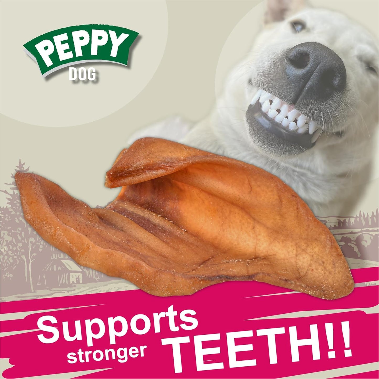 Healthy Whole Pig Ears (50 Count Pack of 1) | Natural Dog Treats | Rawhide Alternative Pigs Ears for Dogs | Single Ingredient Pig Ears Dogs Chews