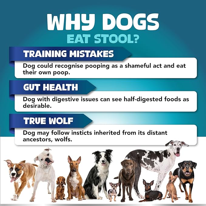 Kinpur Pet Care No Poo Behavior Chews - Help Beat The Habit with Natural Pumpkin, Broccoli, Chamomile, Chicken Liver & More - Forbids Poop Eating - Coprophagia Stool Eating Deterrent Beef Treats