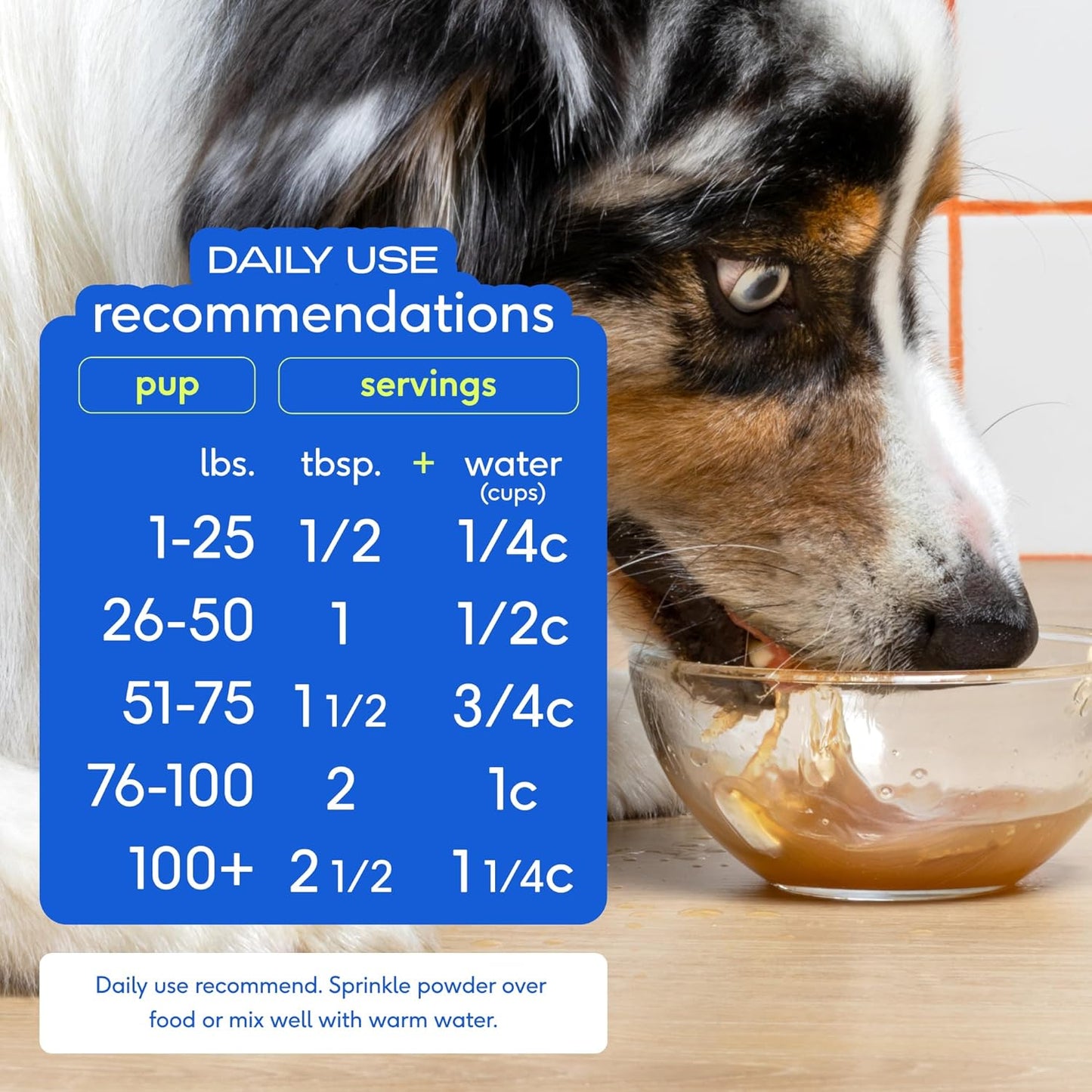 Native Pet Dog Wellness Bundle: Beef Bone Broth (48 Servings), Daily Multivitamin (30 Scoops), Pumpkin Fiber Support (30 Scoops), & Omega Oil for Dogs Skin, Coat and Joints (8 Oz.)