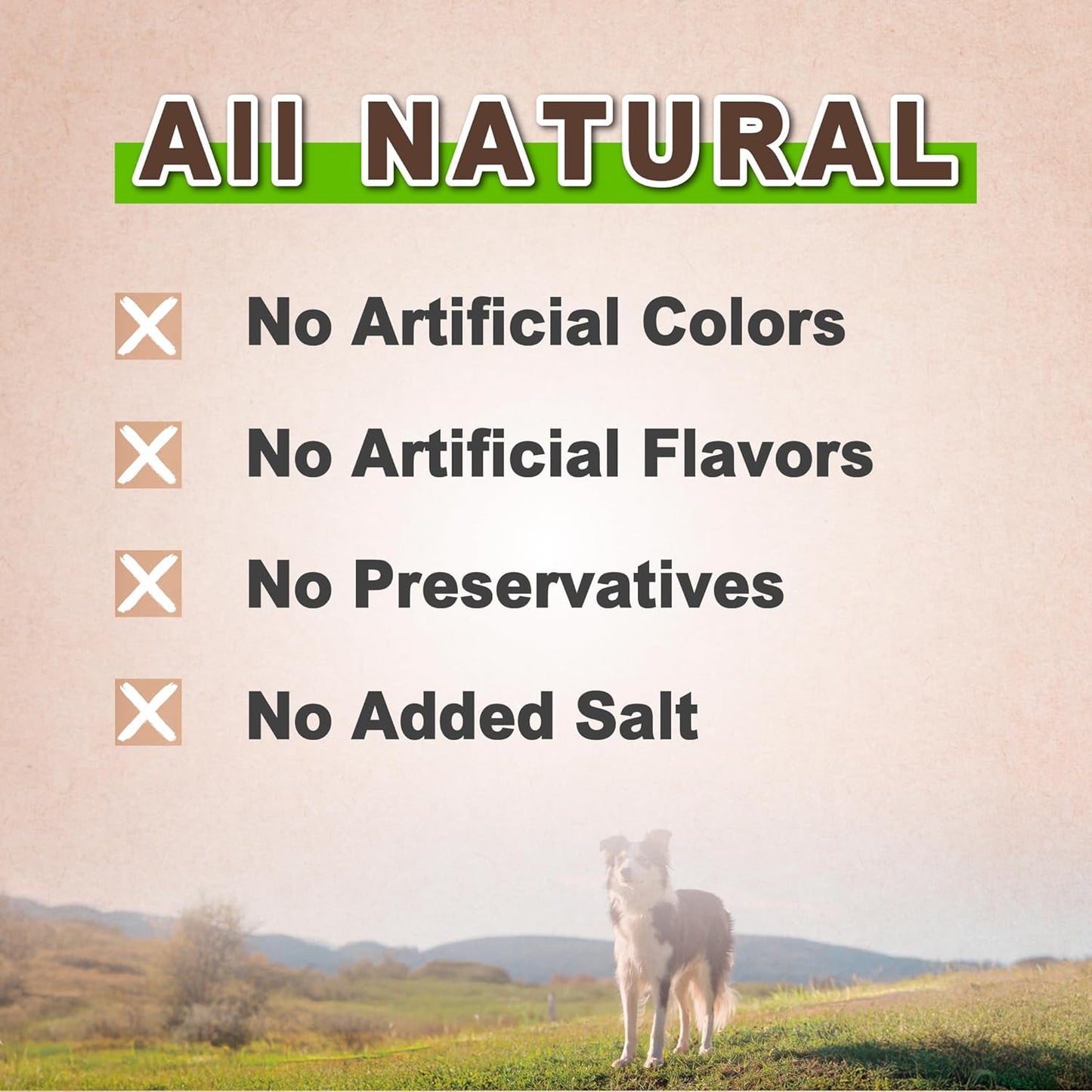 AFreschi Natural Chicken Sticks (Mini) 24 oz, All Natural, Grain-Free, High-Protein, Healthy & Easily Digestible, Soft Texture