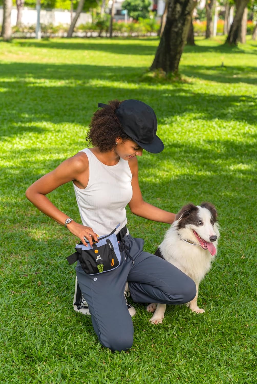 OllyDog Backcountry Day Bag | Hands-Free Dog Training Treat Pouch | Fanny/Hip Pack with Zipper Closure & Built-in Poop Bag Dispenser | Removable Waist Clip (Blue Heron)
