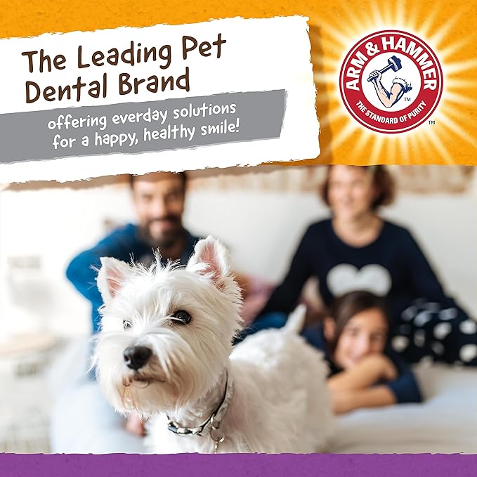 Arm & Hammer for Pets Super Treadz Mini Gator Dental Chew Toy for Dogs Best Dental Dog Chew Toy Dog Dental Chew Toys Reduce Plaque & Tartar Buildup Without Brushing (Pack of 24)