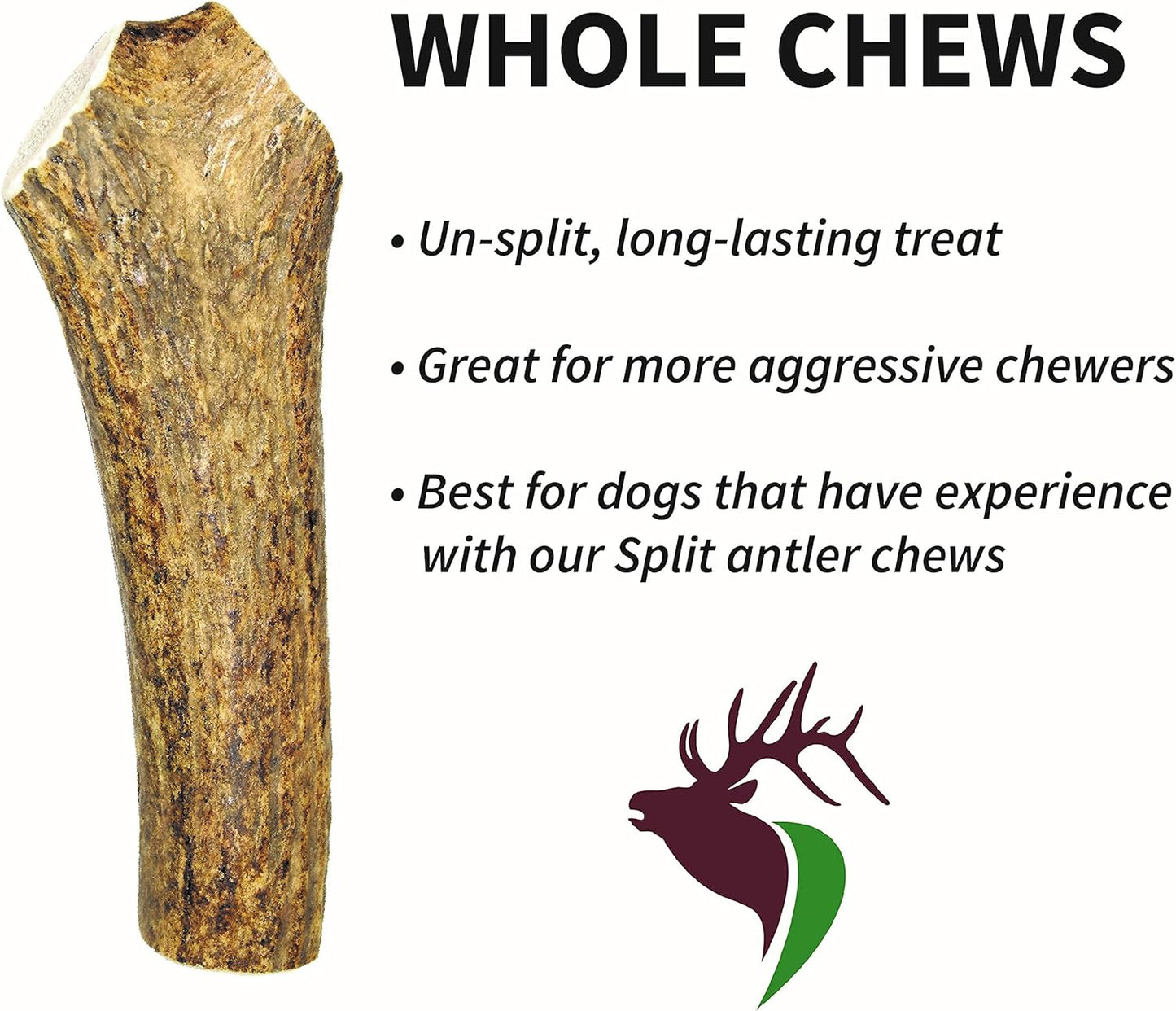 Medium Whole Single Pack (for 20-45 lb Dogs and Puppies) Premium Grade Elk Antler for Dogs (1 Piece) Sourced in The USA