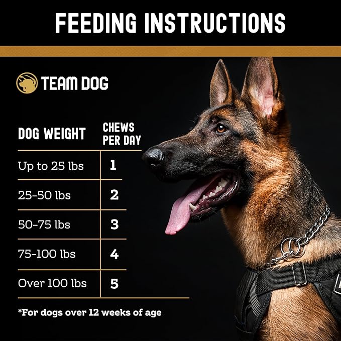 TEAM DOG Probiotic Chews for Dogs | Digestive Enzymes & Dog Probiotics for Yeast, Itchy Skin and Itchy Ears | for Allergies & Sensitive Stomachs | Promotes Digestive & Gut Health for Dogs | 120 Count